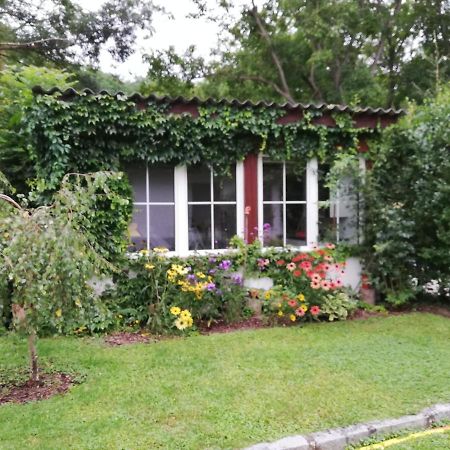 Ferienhaeuschen Gruber Villa Loosdorf Dış mekan fotoğraf