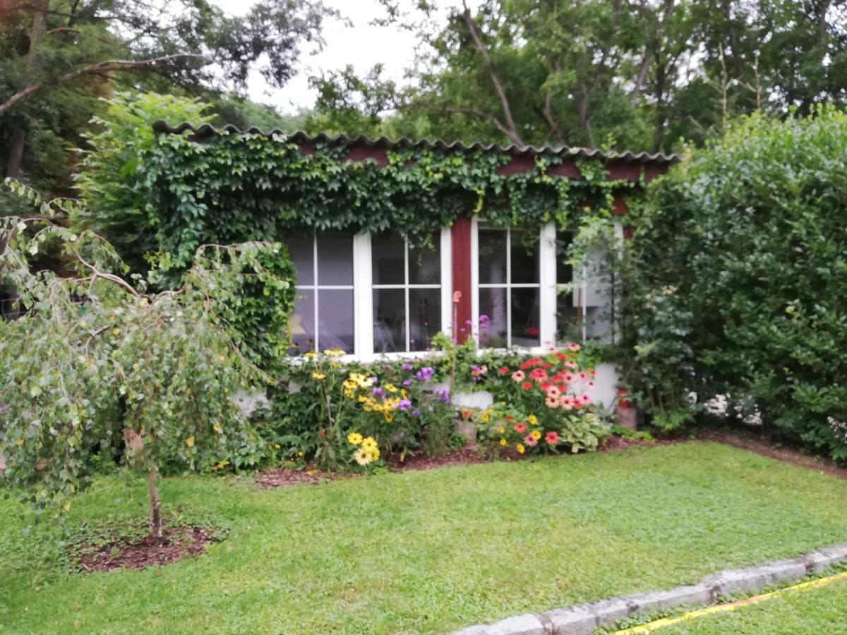 Ferienhaeuschen Gruber Villa Loosdorf Dış mekan fotoğraf