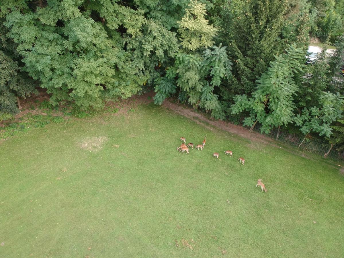 Ferienhaeuschen Gruber Villa Loosdorf Dış mekan fotoğraf